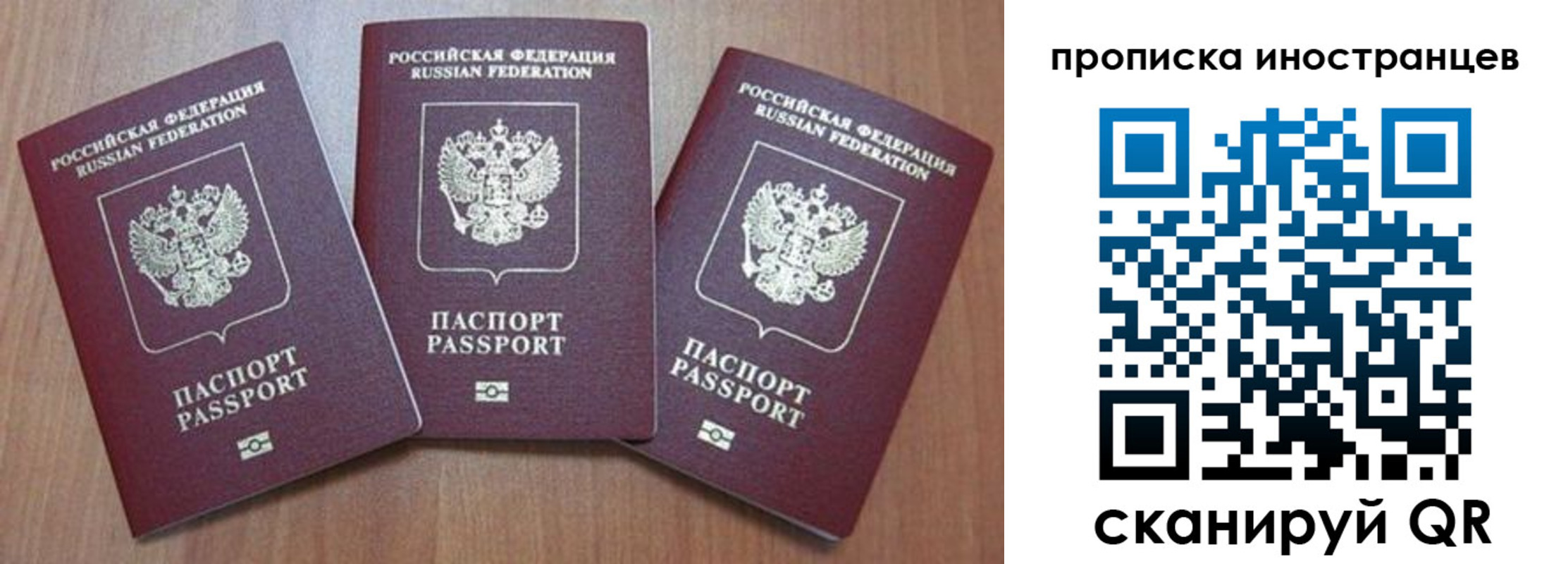 где прописаться в Кингисеппе